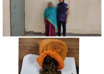 ফুলপুরে গাঁজাসহ নারী মাদক ব্যবসায়ী গ্রেফতার