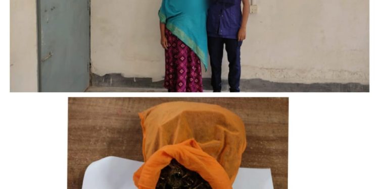 ফুলপুরে গাঁজাসহ নারী মাদক ব্যবসায়ী গ্রেফতার