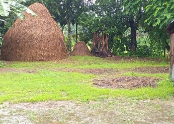      আট বিভাগে দমকা হাওয়াসহ বৃষ্টি ও বজ্রবৃষ্টির পূর্বাভাস, তাপমাত্রা
