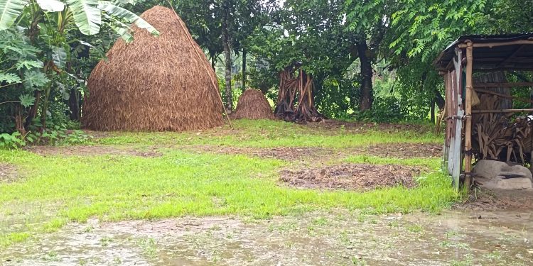 আট বিভাগে দমকা হাওয়াসহ বৃষ্টি ও বজ্রবৃষ্টির পূর্বাভাস, তাপমাত্রা