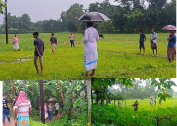 ভাতিজা ও বিধবা ভাবির জমি আত্মসাতের চেষ্টা, হামলার আশঙ্কায় নিরাপত্তাহীন পরিবার
