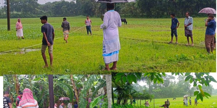 ভাতিজা ও বিধবা ভাবির জমি আত্মসাতের চেষ্টা, হামলার আশঙ্কায় নিরাপত্তাহীন পরিবার