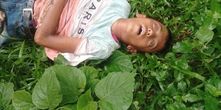ফুলপুরে পাখির বাচ্চা আনতে গিয়ে বিদ্যুৎস্পৃষ্টে স্কুলছাত্রের মর্মান্তিক মৃত্যু