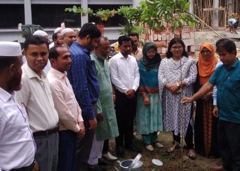 সবুজে সবুজে জেগে উঠছে ফুলপুর — জুলাই পূর্ণজাগরণে বৃক্ষরোপণ কর্মসূচি অনুষ্ঠিত