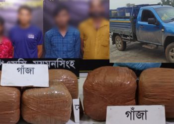 ফুলবাড়ীয়ায় র্যাব-১৪-এর পৃথক অভিযানে ৪০ কেজি গাঁজাসহ ৪ মাদক কারবারি গ্রেফতার