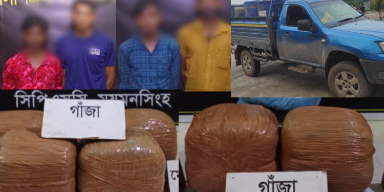 ফুলবাড়ীয়ায় র‍্যাব-১৪-এর পৃথক অভিযানে ৪০ কেজি গাঁজাসহ ৪ মাদক কারবারি গ্রেফতার