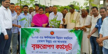 ফুলপুরের সৌন্দর্য বৃদ্ধিতে মহাসড়কে কৃষ্ণচূড়া রোপণ