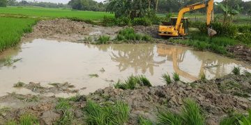 ঈশ্বরগঞ্জে ফসলি জমিতে ভেকু দিয়ে মাটি কেটে ফসল নষ্টের অভিযোগ