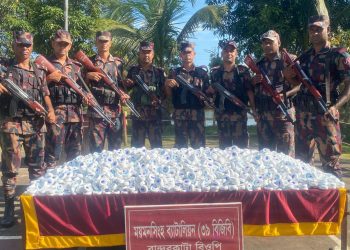 সীমান্তে বিজিবির অভিযানে অর্ধকোটি টাকার মাদক ও চোরাচালানী মালামাল আটক