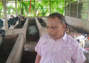 গৌরীপুরে জমি সংক্রান্ত বিরুধে গরুর ফার্মে শ্রমিকদের প্রবেশে বাধা, খুন-জখমের হুমকি