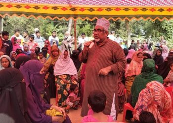 গ্রামগঞ্জে ধানের শীষের পক্ষে গণজাগরণ সৃষ্টি হয়েছে : প্রিন্স