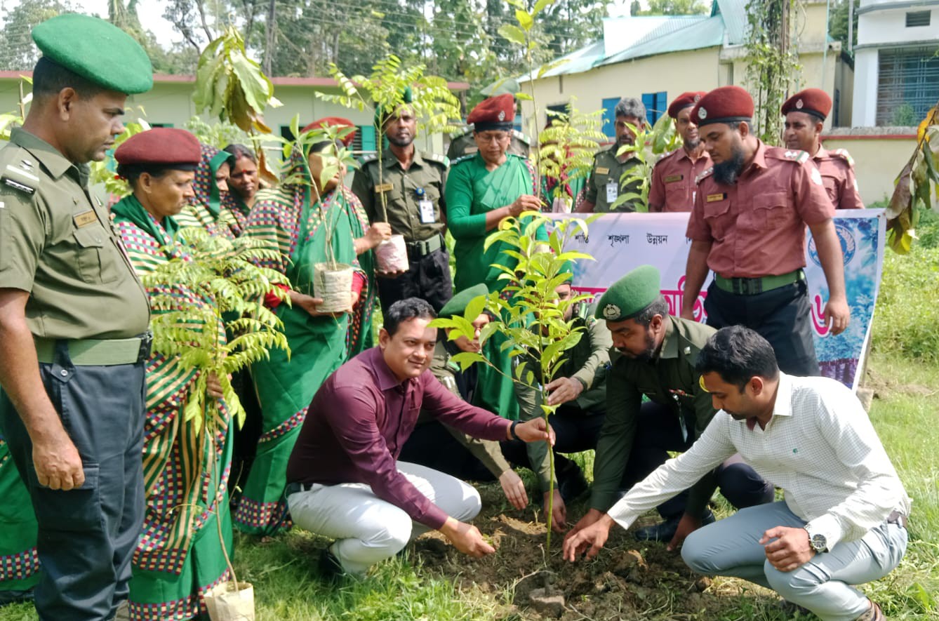 পরিবেশ রক্ষায় আনসার-ভিডিপির উদ্যোগ, হালুয়াঘাটে ২০০ চারা রোপণ